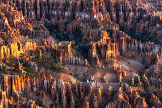 Bryce Canyon Sunrise View