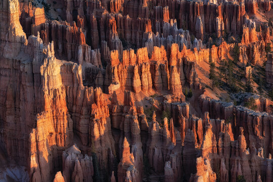 Bryce Canyon Sunrise View