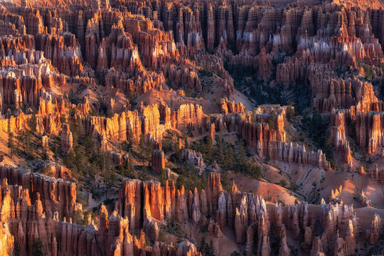 Bryce Canyon Sunrise View
