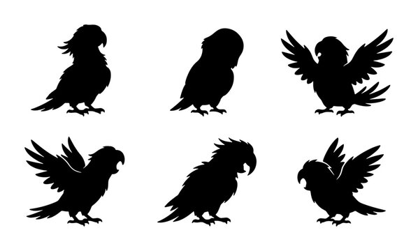 Parrot Silhouettes Collection, Tropical Bird Icons, Exotic Avian Vector Graphics, Lovebird Poses Set