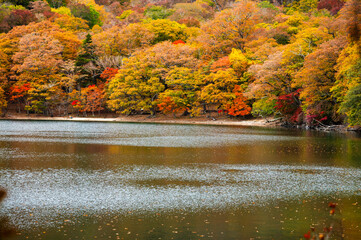 Obraz premium 紅葉した中禅寺湖の水面