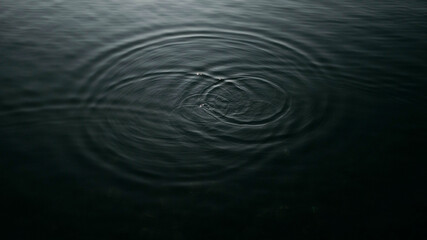 Fototapeta premium Dark Water Surface with Subtle Ripples and Light Reflections
