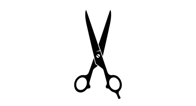 Scissors on white background
