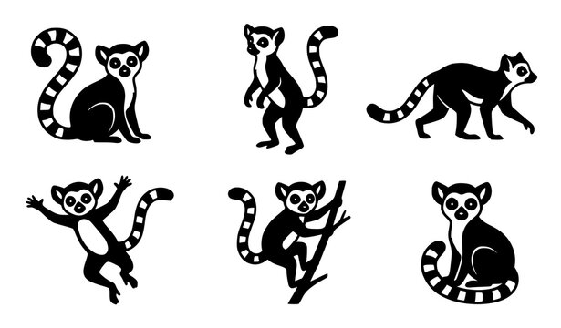 Lemur Vector Silhouette Set Cute Ring Tailed Lemur Animal Poses Black Icon Illustration Design