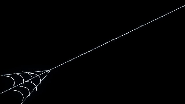 Spider web rapidly stretching and contracting its elastic threads, ambush, Brilliant spider web with Superhero style spider web shooting animation on black screen.4k loop video animation.