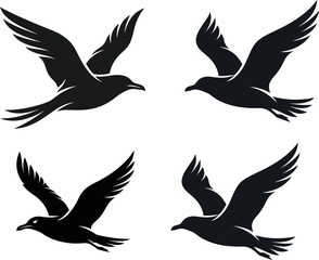 Obraz premium Set of four black bird silhouettes flying in various poses isolated on white background