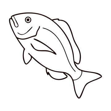 Red Snapper Line Art - Saltwater Sea Fish Vector Illustration for Commercial Fishing Badges, Seafood Restaurant Menus, and Market Packaging