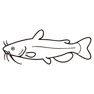 Channel Catfish Line Art - Freshwater River Fish Vector Illustration for Angling Tournament Logos, Fishing Club Badges, and Fish Market Packaging
