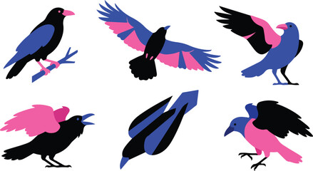 Fototapeta premium Set of artistic crow illustrations featuring vibrant blue and pink color accents on a white background