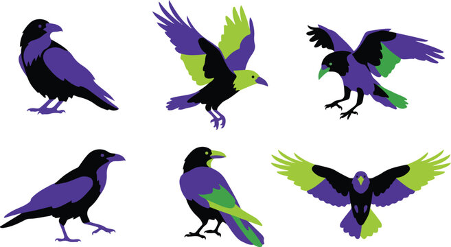 Set of six stylized crows and ravens in various poses with vibrant purple and green color accents