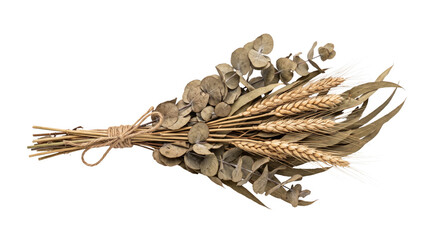 Dried eucalyptus and wheat stalks tied with twine for rustic home decor © Alla
