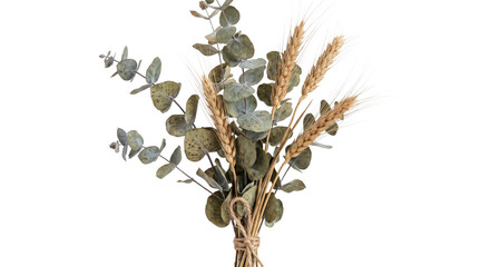 Dried eucalyptus branches and wheat stalks tied with twine for a rustic arrangement © Alla