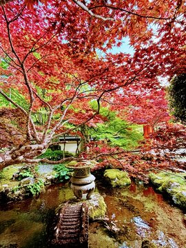 美しい日本庭園の池に映える鮮やかな紅葉と苔むした石灯籠の秋の絶景