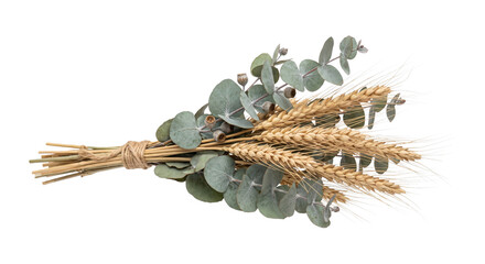 Dried wheat stalks and eucalyptus leaves tied with twine for rustic decoration © Alla