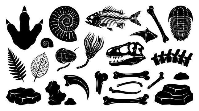 paleontology fossil and dinosaur skeleton black silhouette icon set featuring prehistoric bones footprint ammonite ancient fish skull and trilobite archeology symbols