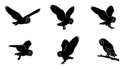 Fototapeta premium Silhouette Collection of Owl in Flight and Perched Poses.