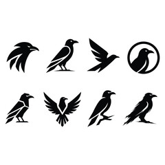 Naklejka premium Crow Bird Silhouette Collection with Flying Perched and Decorative Black Bird Designs