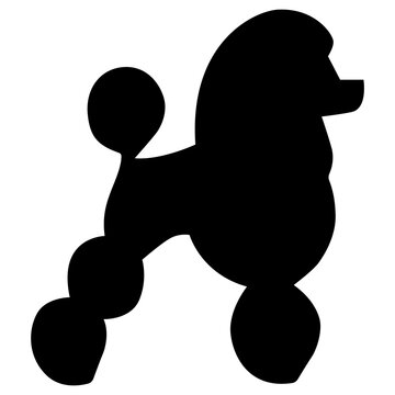 Poodle Dog Silhouette Groomed Pet Purebred Vector Illustration in AI EPS SVG PNG