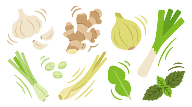 Set of aromatic herbs and umami cooking ingredients including garlic ginger scallion onion lemongrass and basil for healthy culinary seasoning