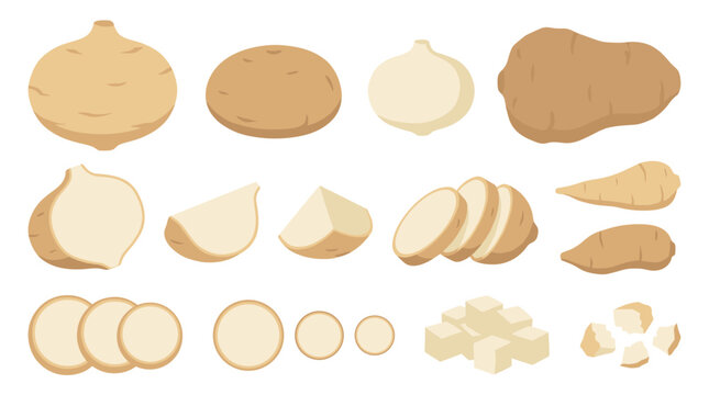 Set of jicama tubers with sliced portions and cubes, fresh root vegetable collection for cooking recipes, culinary ingredients