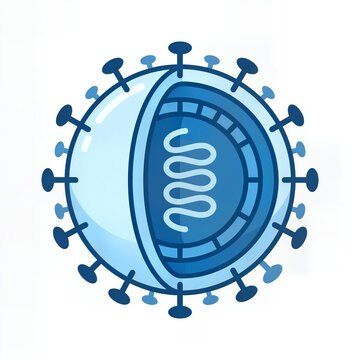 Medical vector illustration of virus structure with cutaway view showing
