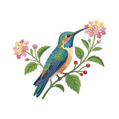 Obraz premium Hummingbird on flowering branch, isolated illustration