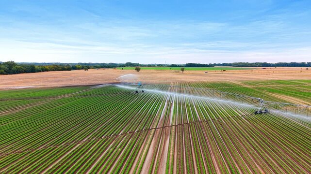 Linear irrigation system watering green field rows from above. High aerial view of long metal sprinkler boom spraying water mist on planted rows in countryside.
