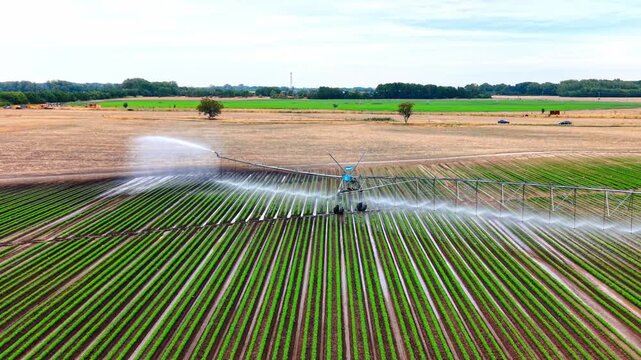 Linear irrigation equipment operating in agricultural field. Fine water drops mist over straight green crop rows under a bright cloudy sky.