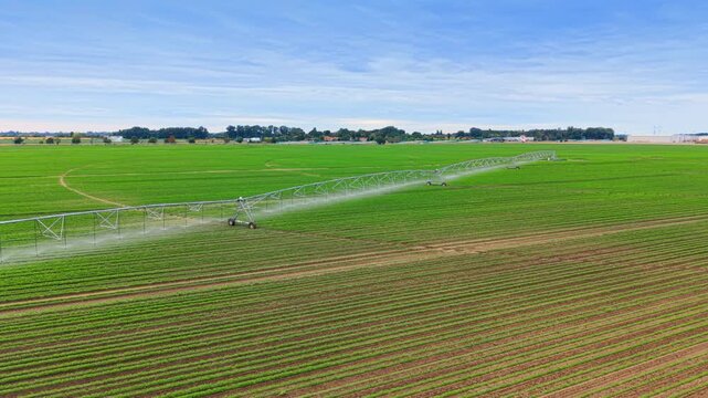 Long irrigation truss spraying water across agricultural land. Green plant rows stretch toward distant trees under a bright blue sky.