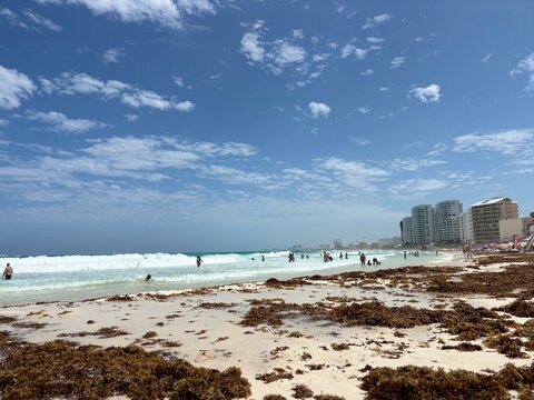 beach, Tropical sandy beach with seaweed on shore, ocean waves and coastal hotels under cloudy blue sky