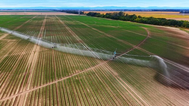 Automatic sprinkler system irrigating green agricultural field rows. Aerial view of irrigation boom watering crops on field with circular track marks under cloudy sky.