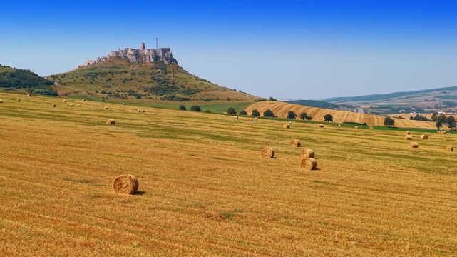 Hay bales by a castle. Hay bales are scattered in golden fields under a blue sky. A castle stands on a hill in the distance.
