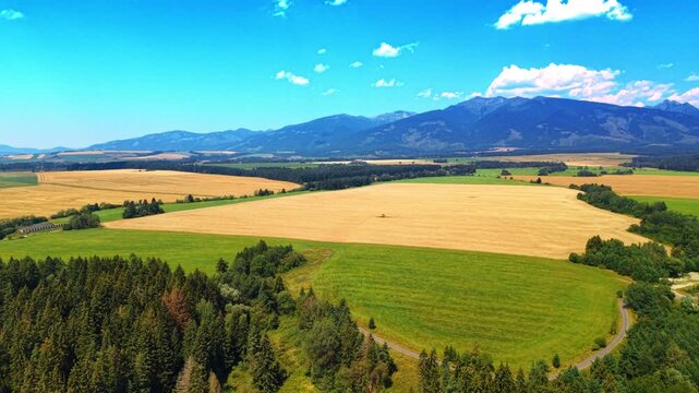Aerial view of green and golden fields. Agricultural fields stretch toward distant mountain ranges beneath a bright sky.