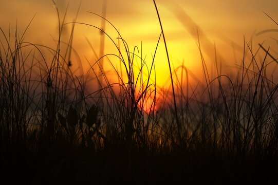 fantastic background image