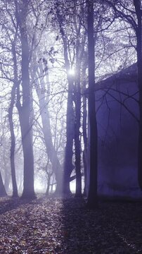 Walk towards middle age chapel in forest with sun flares shining