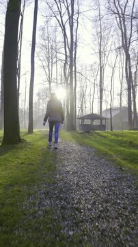 Person with small dog walking through green park with tall trees