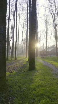 Fairy tale green park with tall trees and wooden village at sunset