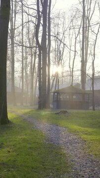 Fairy tale green park with tall trees and wooden village at sunset