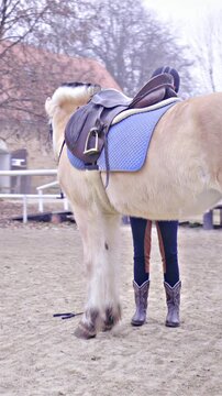 Person preparing horse saddle before riding in manege jaw orbital shot