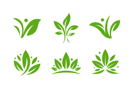 Green Leaf Logo Set Minimalist Botanical and Herbal Emblems