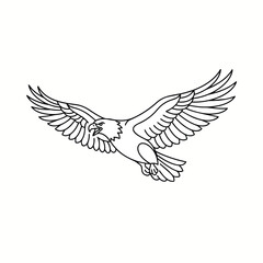 Fototapeta premium Eagle in Flight with Spread Wings