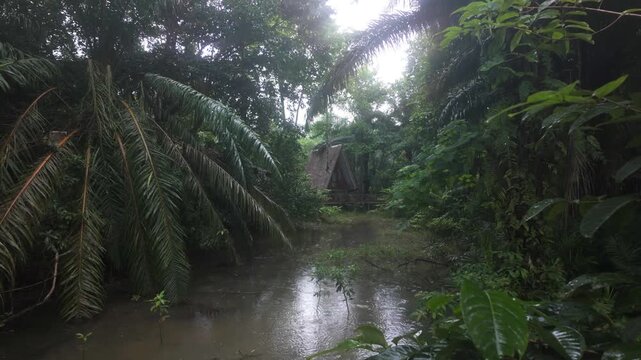 Pouring rain in a rainforest with a hut / shelter jungle treehouse in the centre. Slow motion cinematic dolly forwards. A mangrove swamp. location: Khao Sok National Park, Thailand,