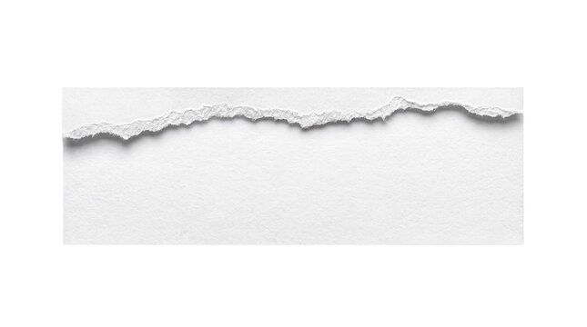Horizontal strip of white textured paper with a wavy, hand-torn edge, isolated for versatile graphic design.