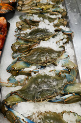 Fresh crabs displayed on ice at a seafood market © mira_y