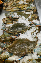 Fresh crabs displayed on ice at a seafood market during the morning hours © mira_y