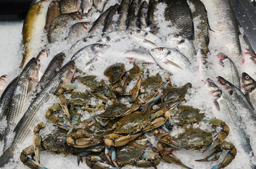 Fresh seafood display at a market showcasing various fish and crabs on ice for sale during the day © mira_y