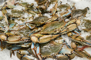 Fresh blue crabs on ice at a seafood market during the day © mira_y