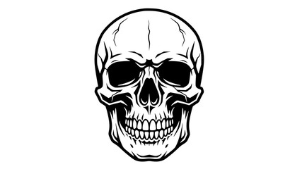 Fototapeta premium Black and White Human Skull Stencil Vector Illustration