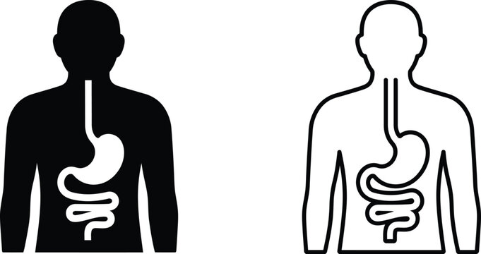 Human digestive system icons, stomach and intestinal tract anatomy vectors, medical silhouette of gastrointestinal organs