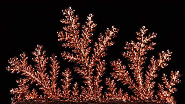 Copper electrodeposition dendritic crystal growth macro with vivid orange metallic fractal branching dendrite trees on pure black background electrochemistry